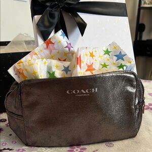 Coach Metallic Pouch